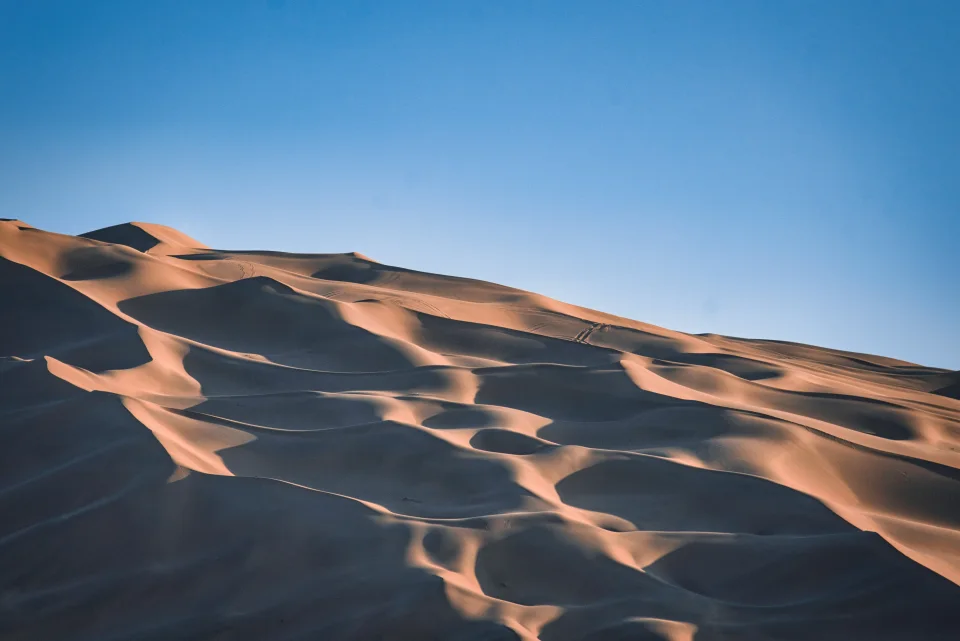 Sunlight tracing the ridges of desert sand dunes beneath a blue sky