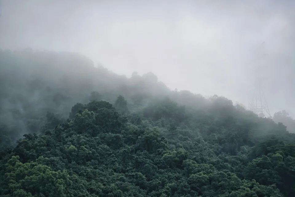 Green forested mountains disappearing into layers of fog